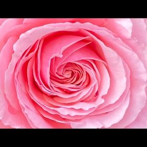 Meet your Posher, Dee